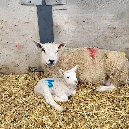 High Kiln Bank Holiday home Ulpha