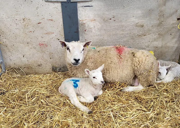 High Kiln Bank Holiday home Ulpha